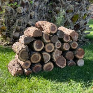 leña seca leña para asado leña para asados santiago comprar leña santiago