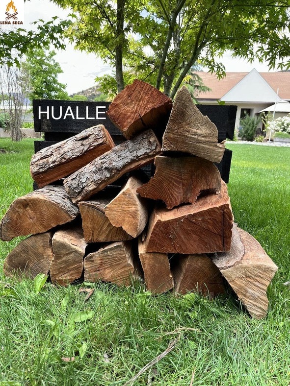 Comprar leña Hualle santiago madera lenaseca-Eucaliptus leña seña leña eucaliptos santiago comprar espino leña seca espino leña seca frutal leña seca nogal leña seca parra leña seca hualle leña de hualle