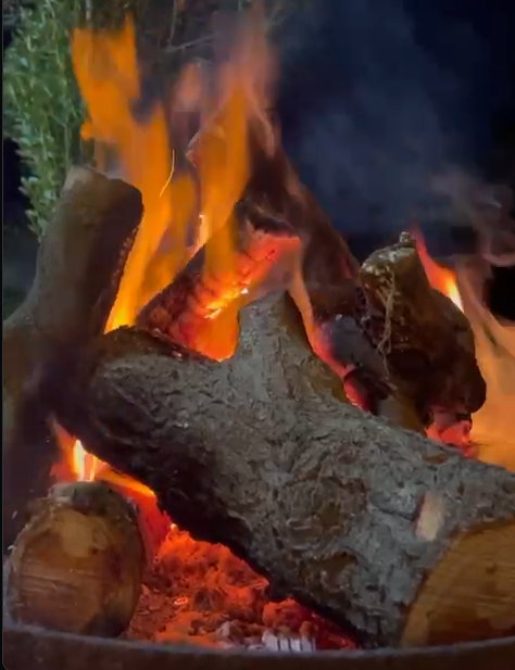 leña a domicilio envios en region metropolitana